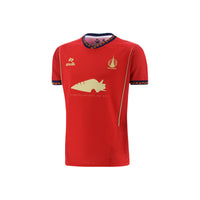 Falkirk 24/25 Away Kids Football Shirt