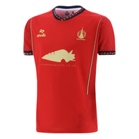 Falkirk 24/25 Away Football Shirt