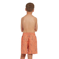 Dakar 15 Inch Watershorts Boys