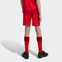 Bayern Munich 24/25 Home Football Shorts Jnr