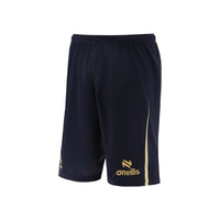 Falkirk 24/25 Away Kids Football Shorts