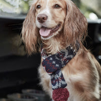 Dog Case Fair Isle Scarf