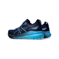 Gel Kayano 31 Running Shoes