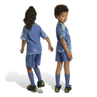 Ajax 24/25 Away Football Mini Kit