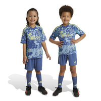 Ajax 24/25 Away Football Mini Kit