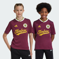 Portland Timbers 24 3rd Football Shirt Jnr